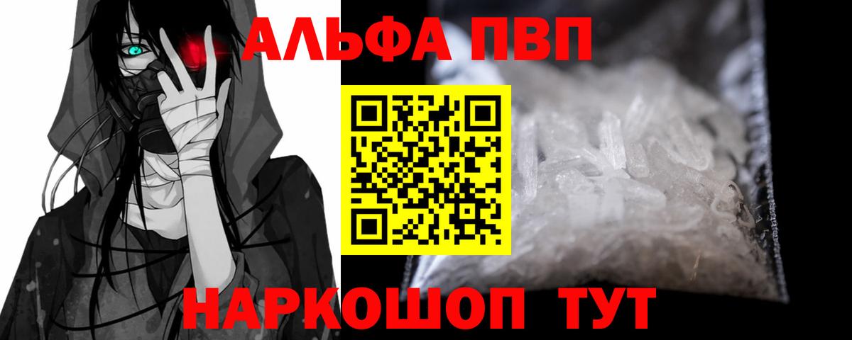 Альфа ПВП СК КРИС Грозный